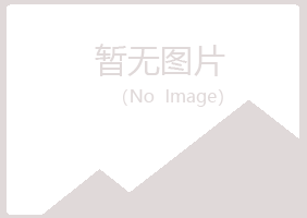 岐山县映易保险有限公司